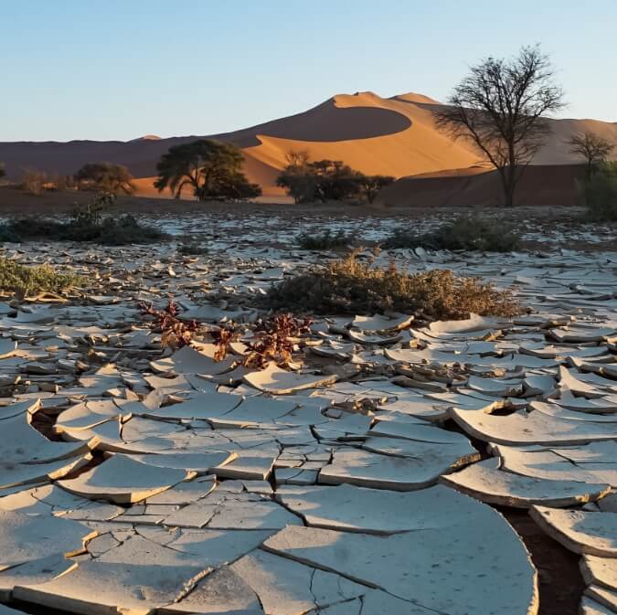 mudcracks-namibia-desert