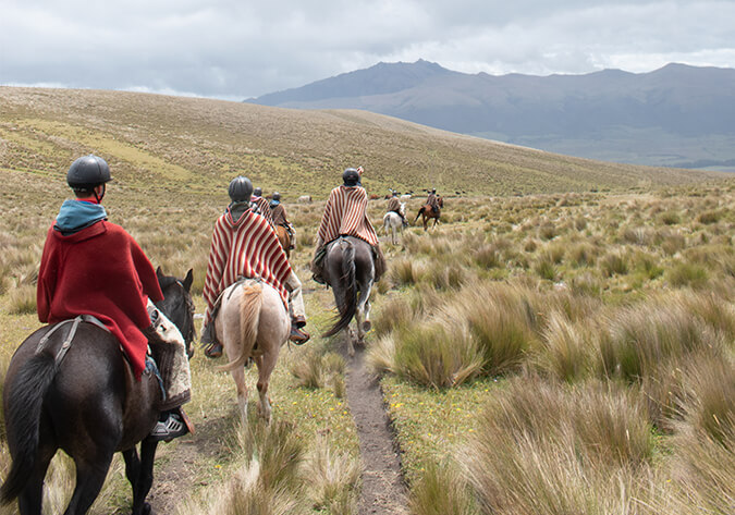 riding-horses-ecuador